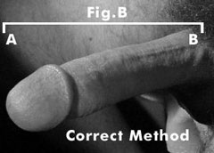 measuring your dick