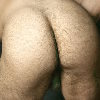 hairy man asses